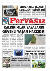 PERVASIZ