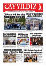 AYYILDIZ