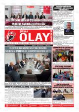 ŞIRNAK OLAY