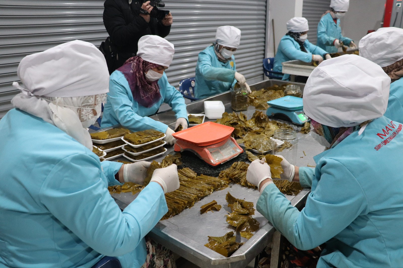 TAYFİ ÜZÜMÜ YAPRAGI MARKET RAFLARINDA