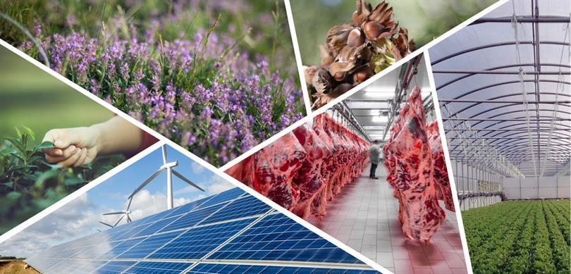 Siirt’te Kırsal Kalkınmada Hibe Başvuruları Sonuçlandı