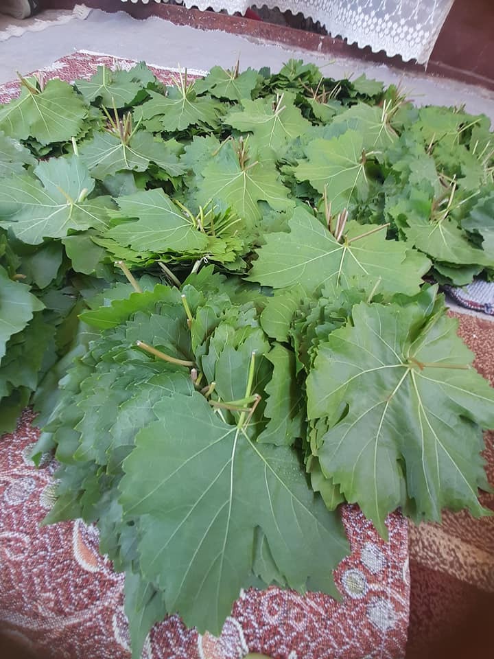 Yaprağı meyvesinden daha fazla kazandırıyor