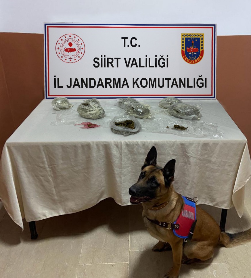 SİİRT’TE, JANDARMA UYUŞTURUCU TACİRLERİNE AĞIR DARBE VURDU  SİİRT İL JANDARMA KOMUTUNLUĞI UYUŞTURUCU TACİRLERİNE GEÇİT VERMİYOR