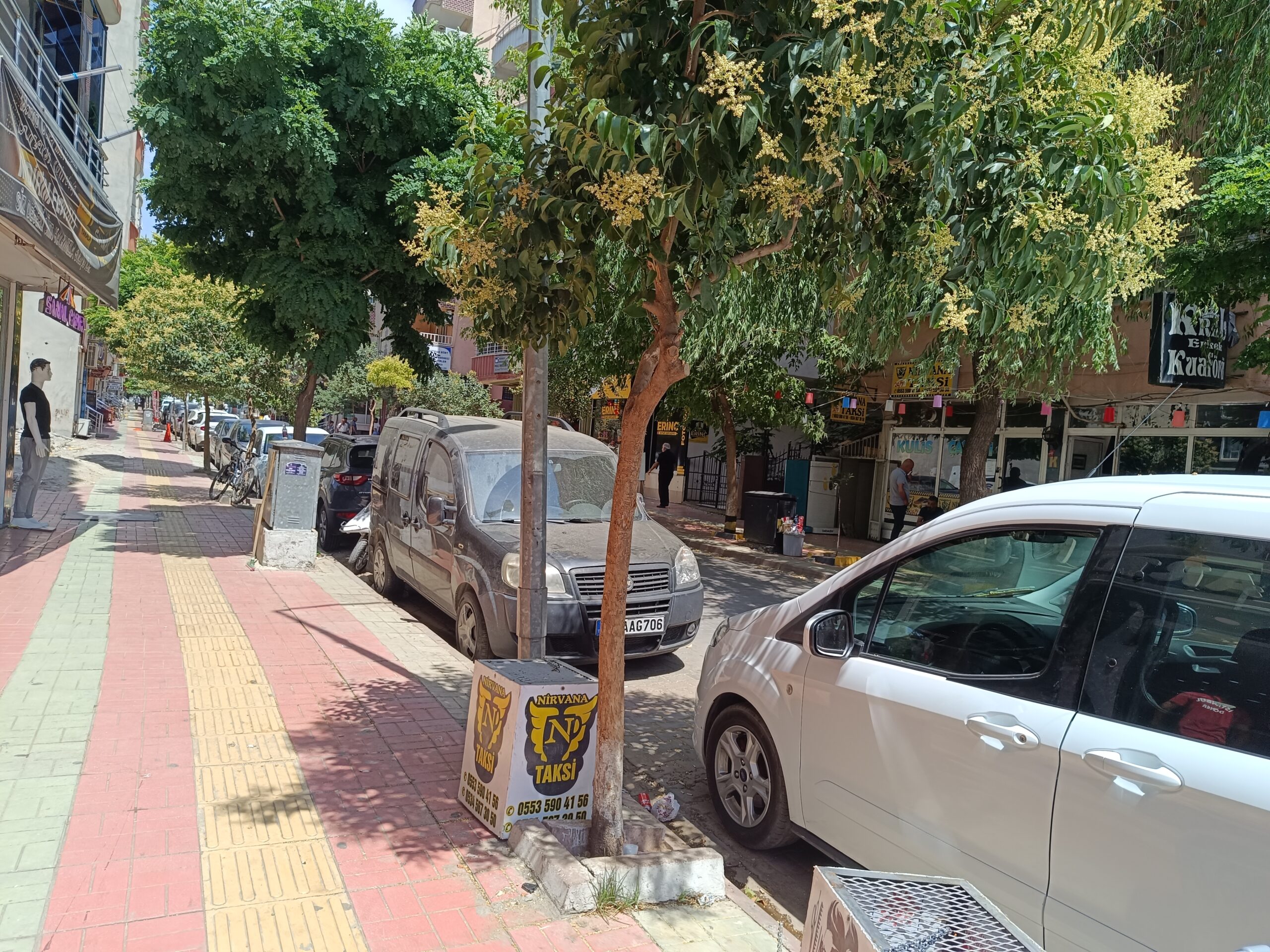 Sıcaklar arttı park ve bahçeler doldu