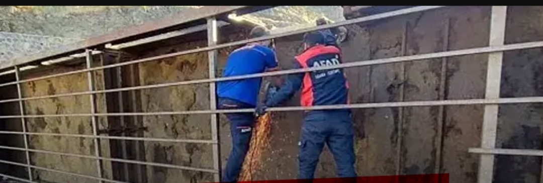 Baykan’da Tır kaza yaptı 150 kurbanlık telef oldu