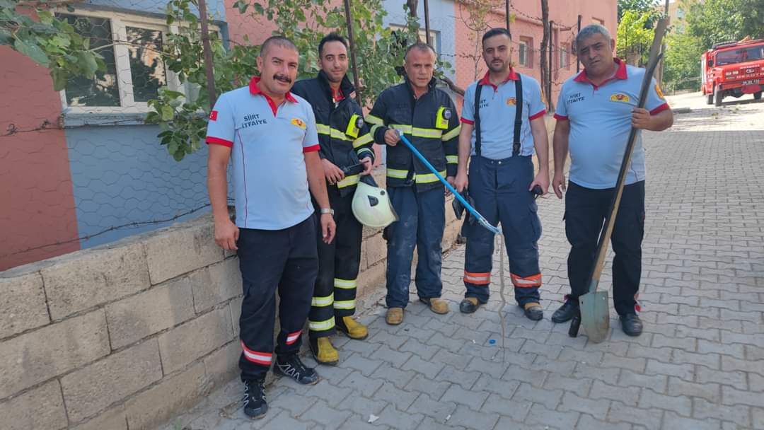 EVE GİREN YILAN KORKUTTU