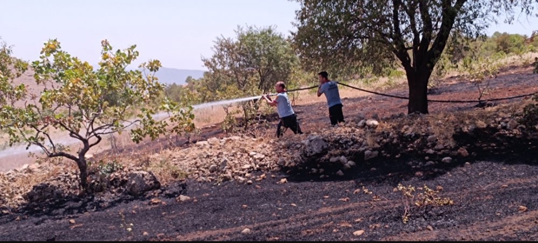 Siirt’te Fıstık Bahçesi Küle Döndü..