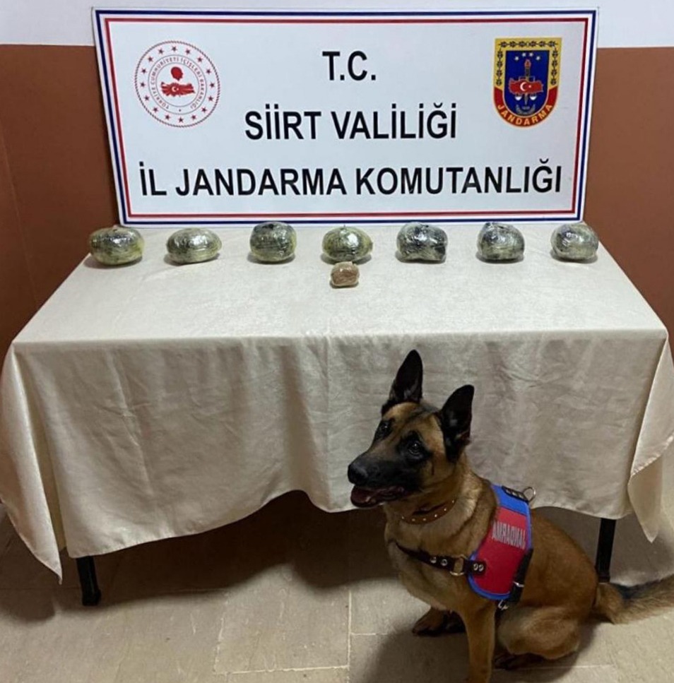 Siirt’te Peynir Bidonuna Saklanmış 5.100 Gr Toz Esrar ele Geçirildi