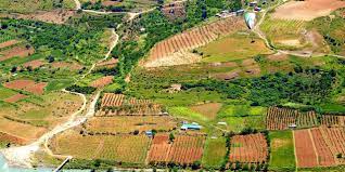 TPAO Siirt’in Yerlibahçe  köyünde petrol arayacak