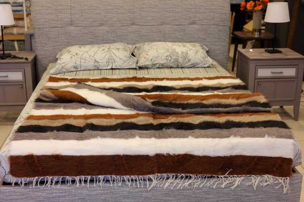 SİİRT TİFTİK BATTANİYESİ GAZİANTEP’TE GÖRÜCÜYE ÇIKTI