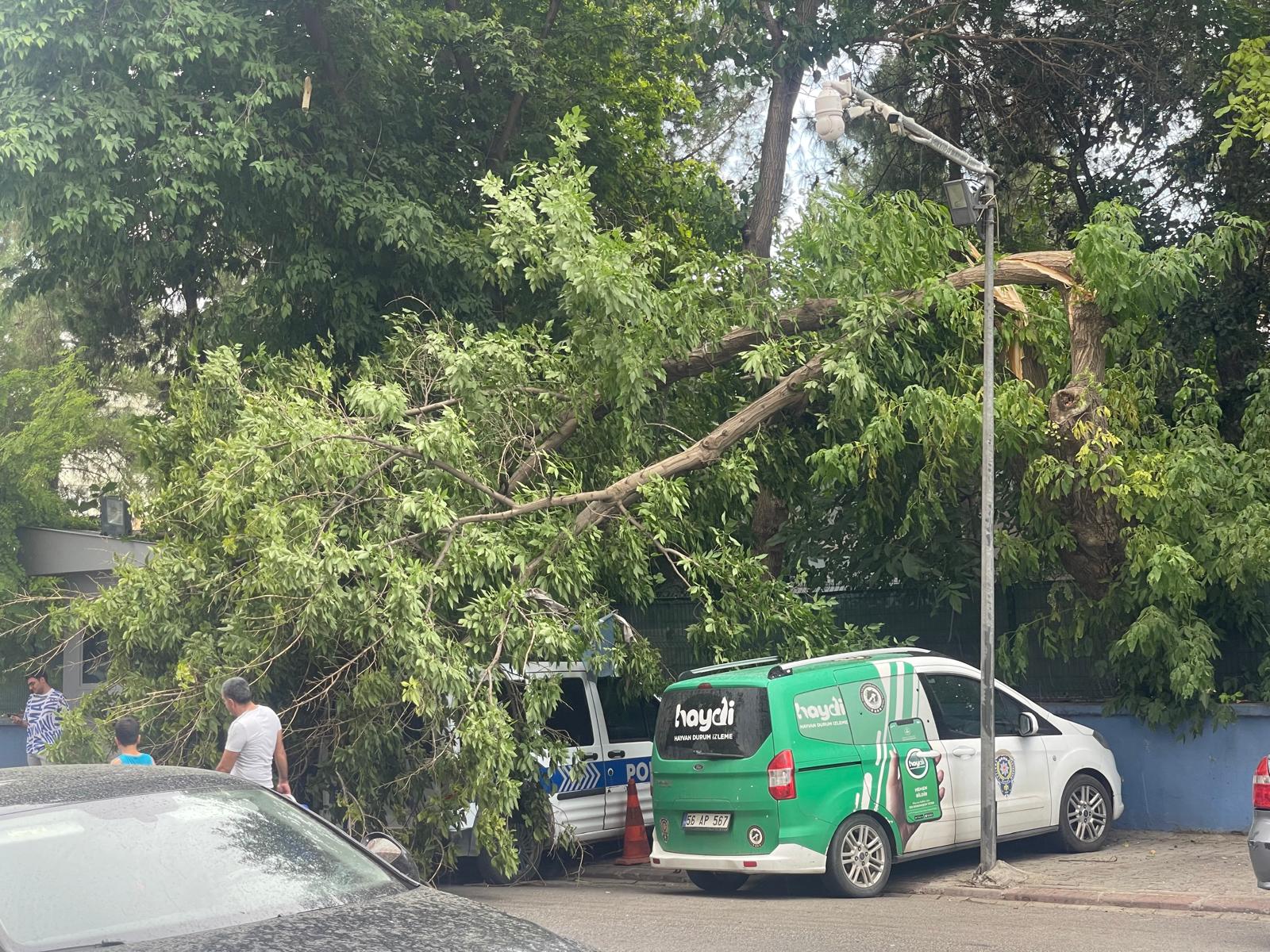 BİR ANDA GELEN FIRTINA YIKTI GEÇTİ  DEVRİLEN AĞAÇ POLİS OTOSUNUN ÜSTÜNE DÜŞTÜ