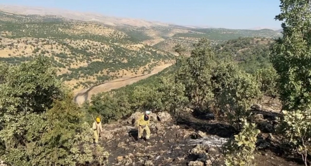 Eruh Pervari Arasında Dağlık Alanda Çıkan Yangın Söndürüldü
