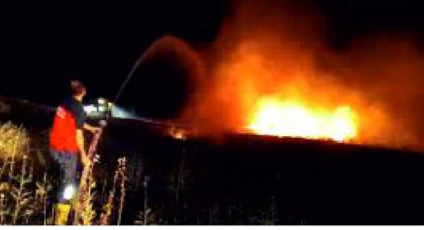 Kurtalan’da 10 Dönüm Fıstıklık Alan Yandı