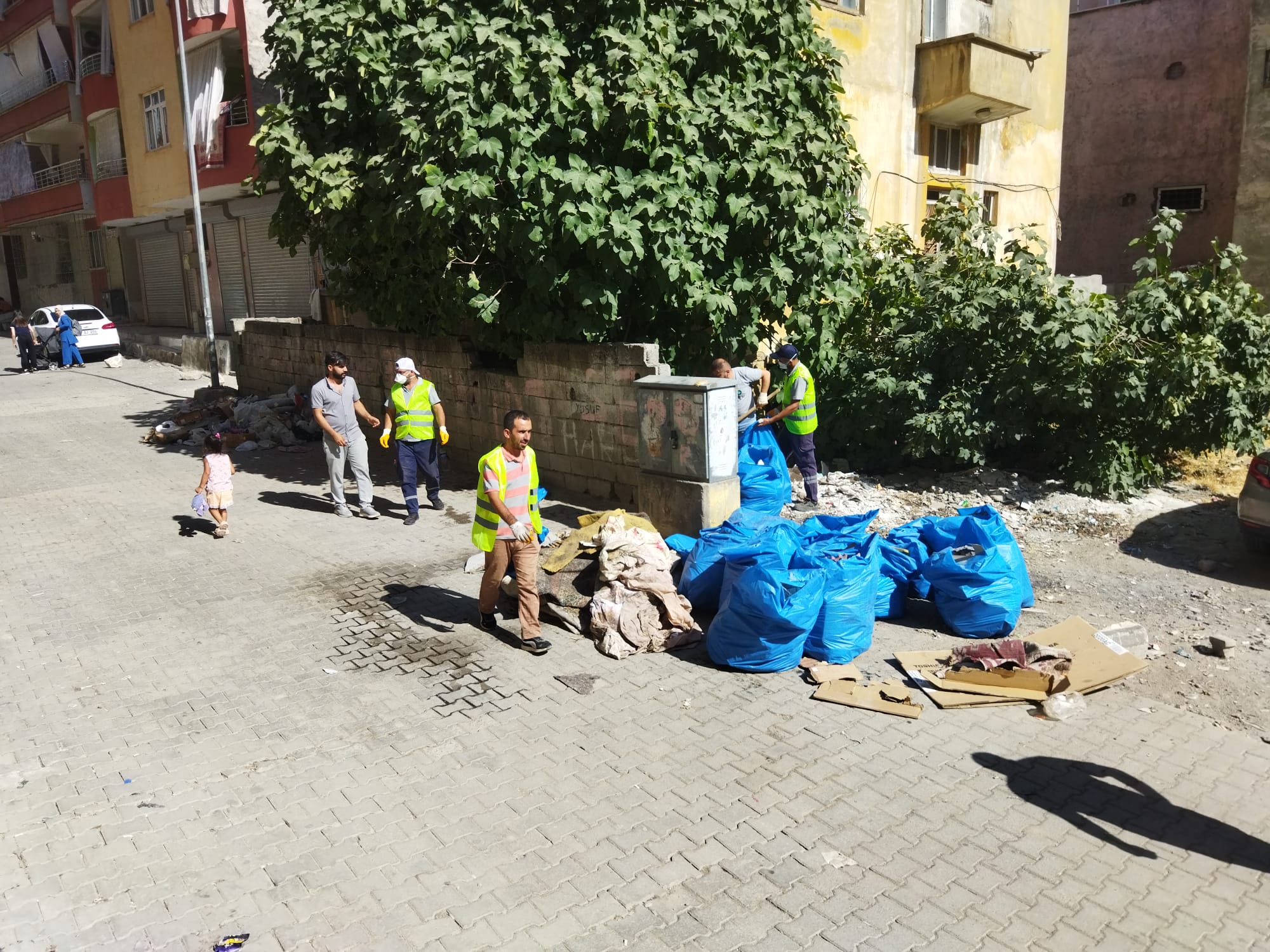 Siirt Belediyesi’nden Yeni Mahalle’de Çevre Temizliği: Vacit Üçok Caddesi Çöplerden Arındırıldı