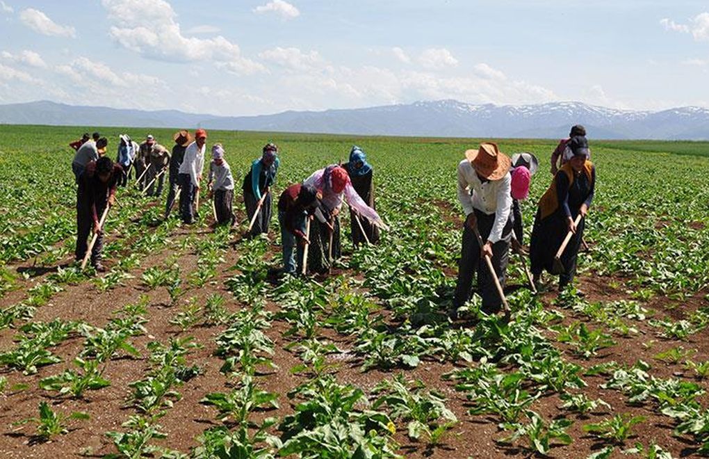 Mevsimlik Tarım İşçilerinin Göçü Başladı