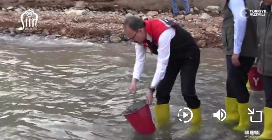 Siirt Ilısu Prof. Dr. Veysel Eroğlu Barajı’na 1 Milyon Yavru Sazan Salındı