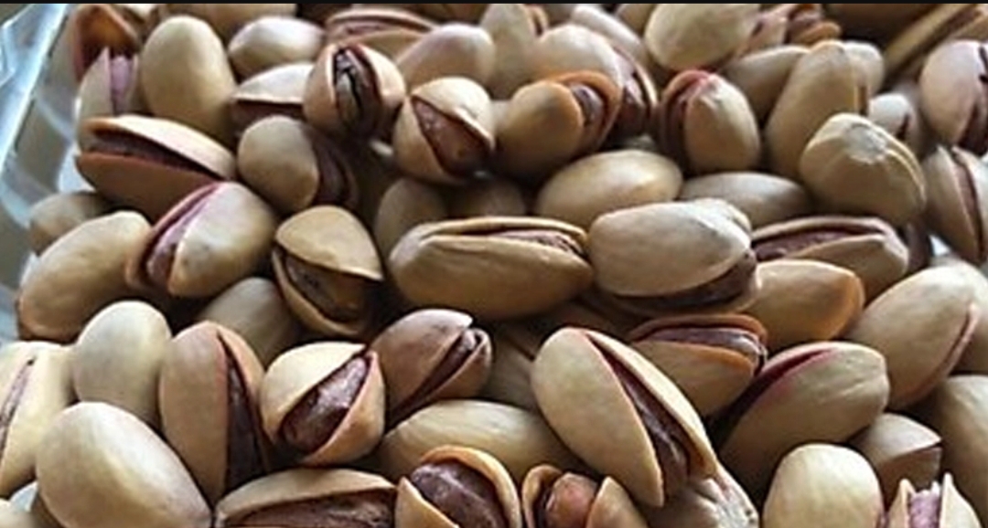 Siirt’te Fıstık Fiyatlarında Büyük Düşüş