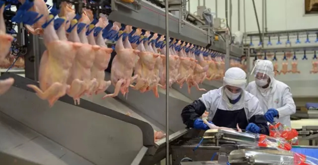 Beyaz et firmalarına rekor ceza