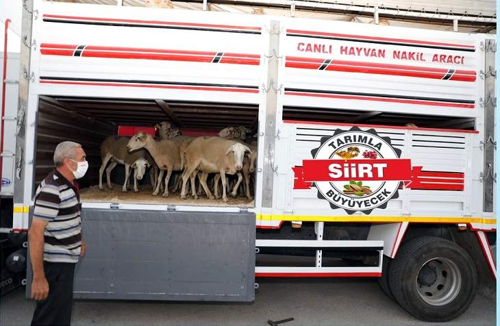 HAYVAN NAKLİYECİLERİNİN DİKKATİNE! YETERLİLİK BELGESİ KURSU DÜZENLENECEK