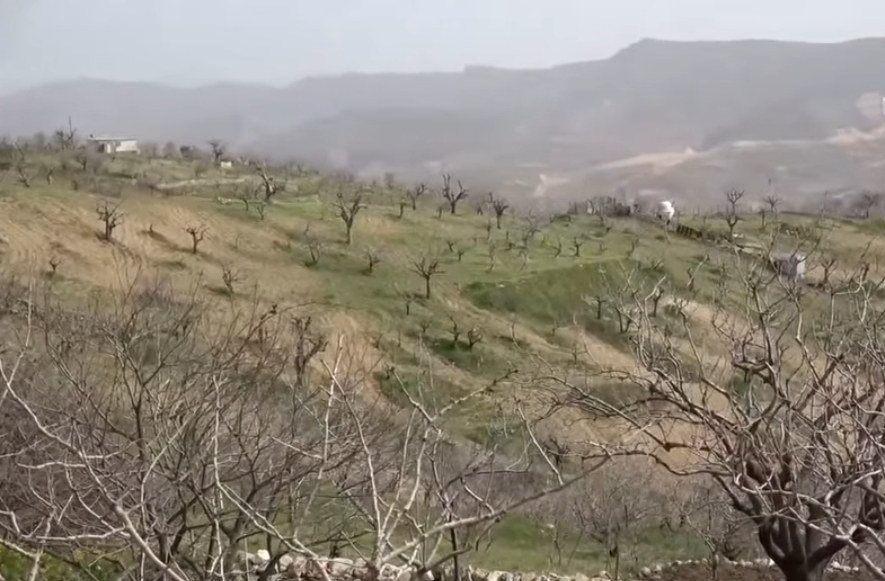 Çiftçiler hem kuraklık hem de tarla farelerinin istilasıyla karşı karşıya