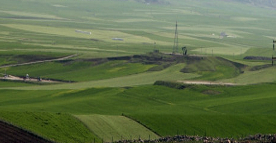 Garzan Ovasını Fareler Bastı