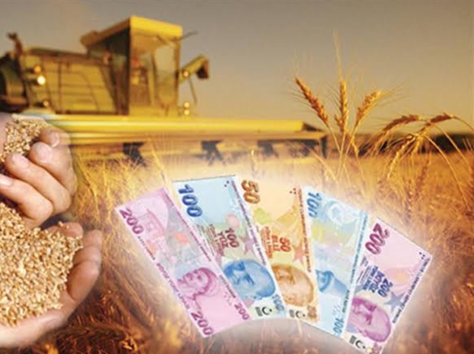 2024 Yılı Hububat, Baklagil ve Dane Mısır Fark Ödemesi Desteği Bu Gün Başlıyor 