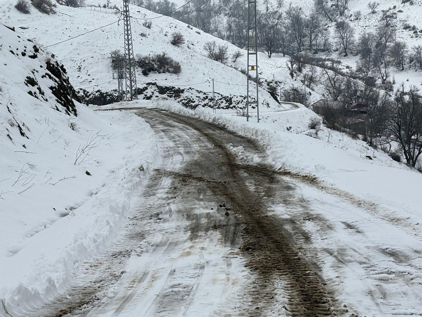 KARDAN KAPANAN ŞİRVAN-CEVİZLİK YOLU ULAŞIMA AÇILDI