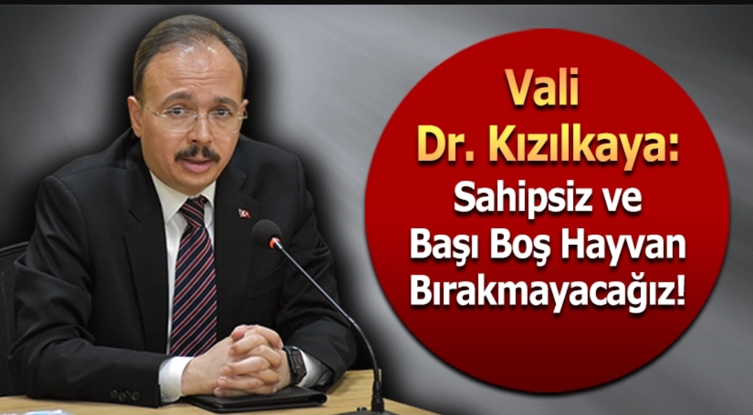Vali Dr. Kızılkaya: “Sahipsiz ve Başı Boş Hayvan Bırakmayacağız”