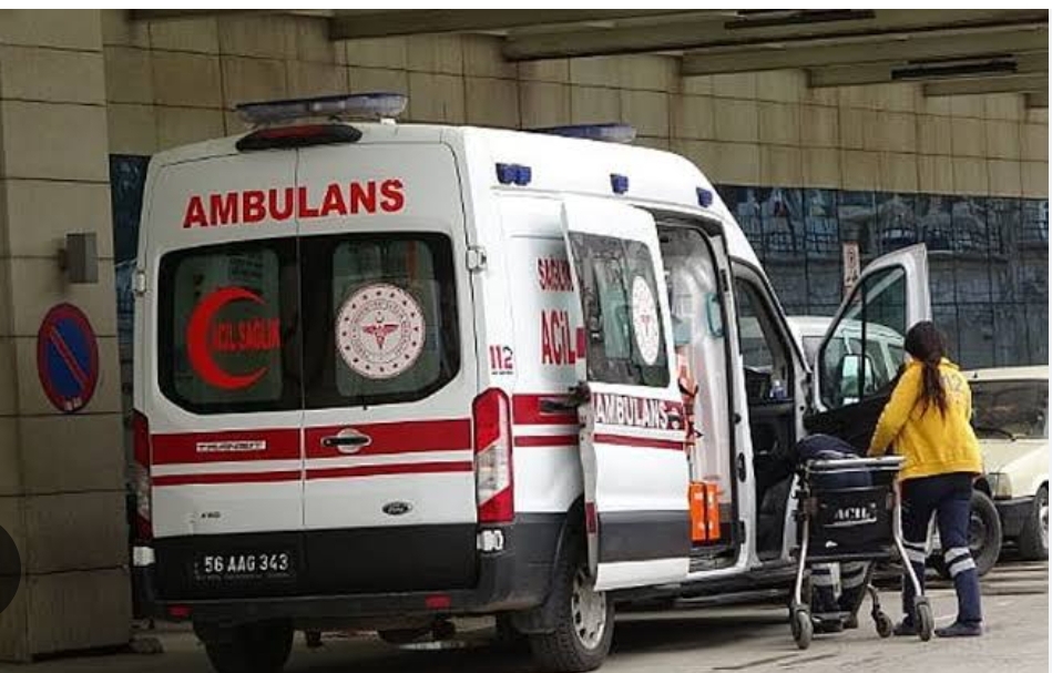 Yılanın Isırdığı 75 Yaşındaki Kadın Hastaneye Kaldırıldı