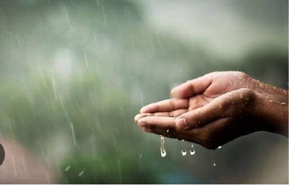 Nisan Yağmurları Çiftçileri Sevindirdi