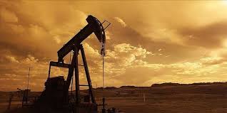 Yeni Petrol Sondajı İçin Hazırlıklara Başlandı