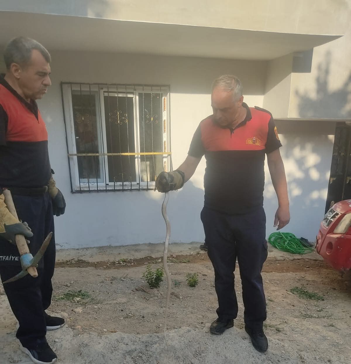 Siirt’te Bahçeye Giren Yılan Yakalanarak Doğaya Salındı