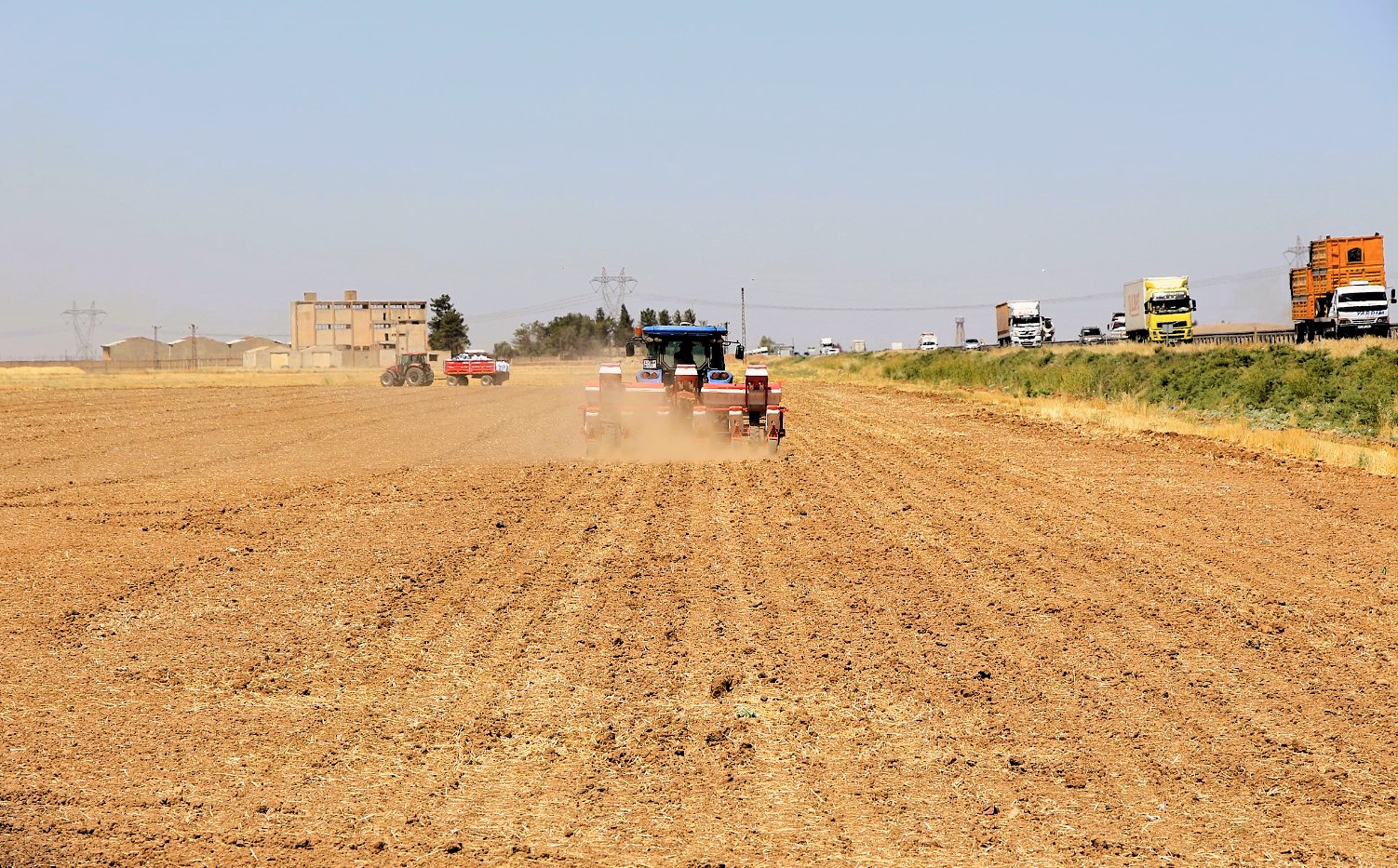 Yasağa Rağmen Mısır Ekimi Devam Ediyor: Su ve Enerji Kaynakları Tehlikede