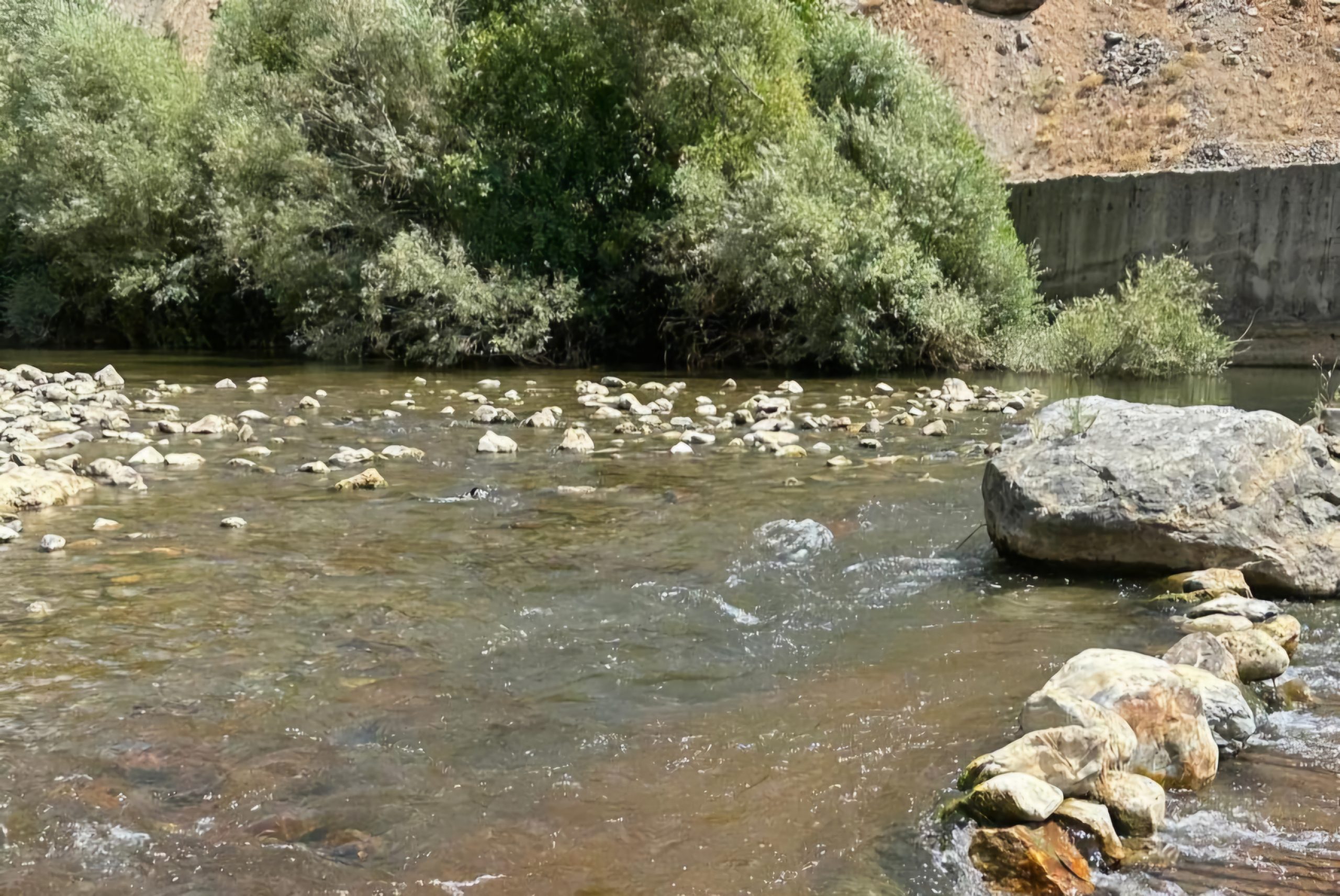 Siirt’te Su İsale Hatlarında Bakım ve Temizlik Çalışması