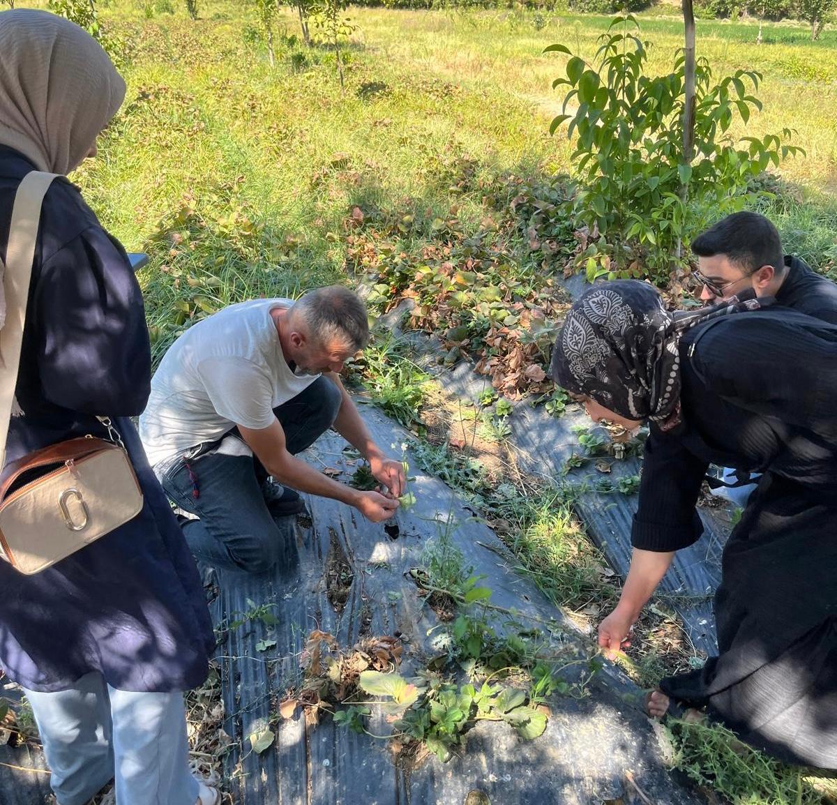 Kadın Üreticilere Teknik Gezi: Çilek Bahçelerinde Eğitim ve Deneyim Paylaşımı
