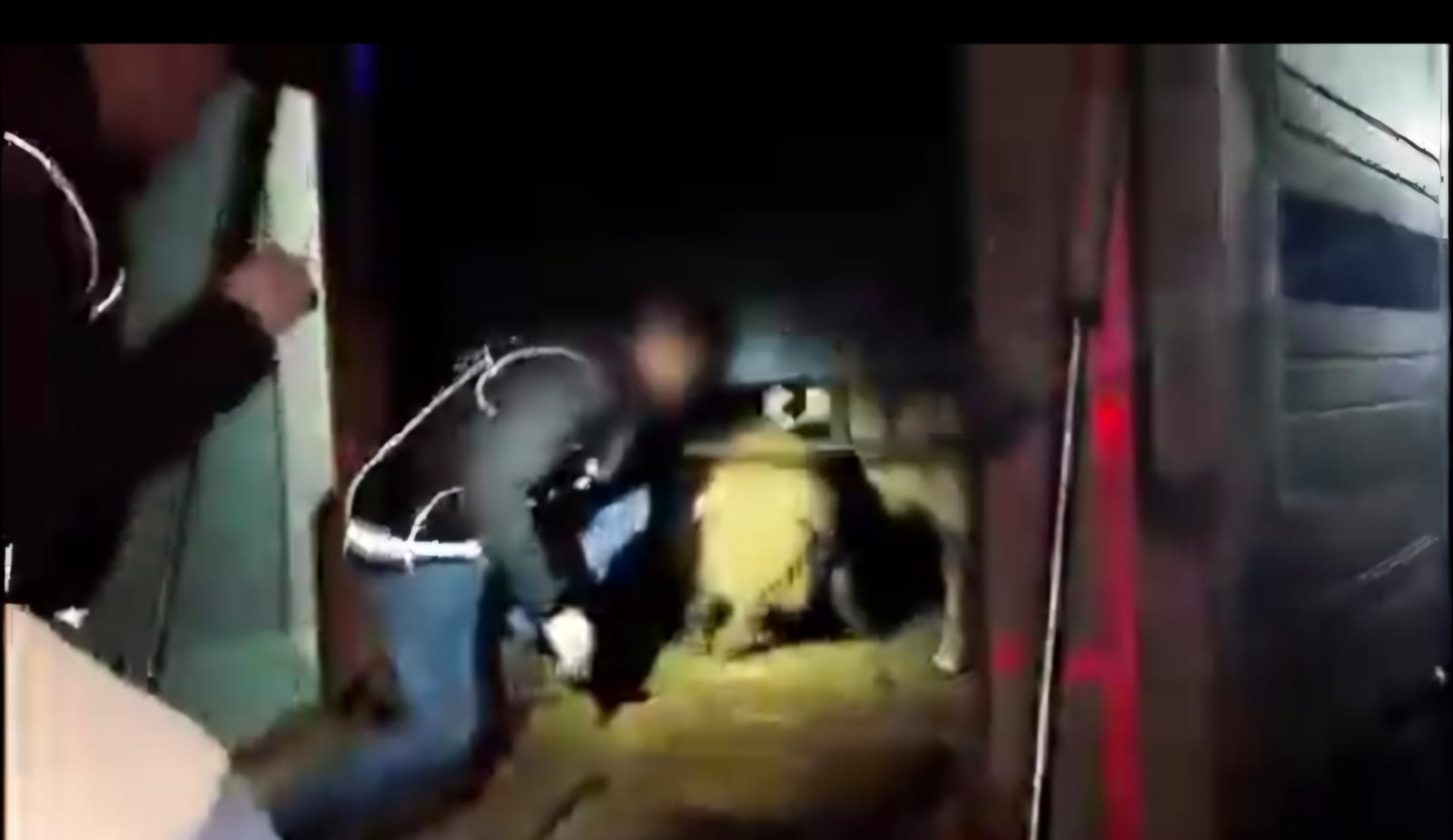 Siirt’te İnsafsız Yöntem: Küçükbaş Hayvanların İçinden 54,6 Kilo Metamfetamin Çıktı