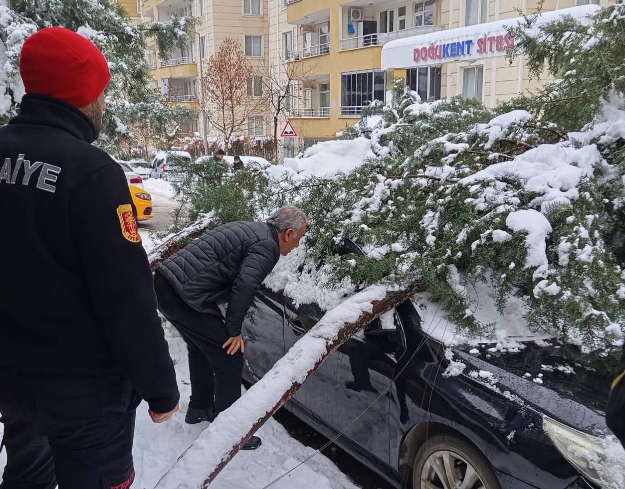 Siirt’te Karın Ağırlığına Dayanamayan Çam Ağacı Otomobilin Üzerine Devrildi