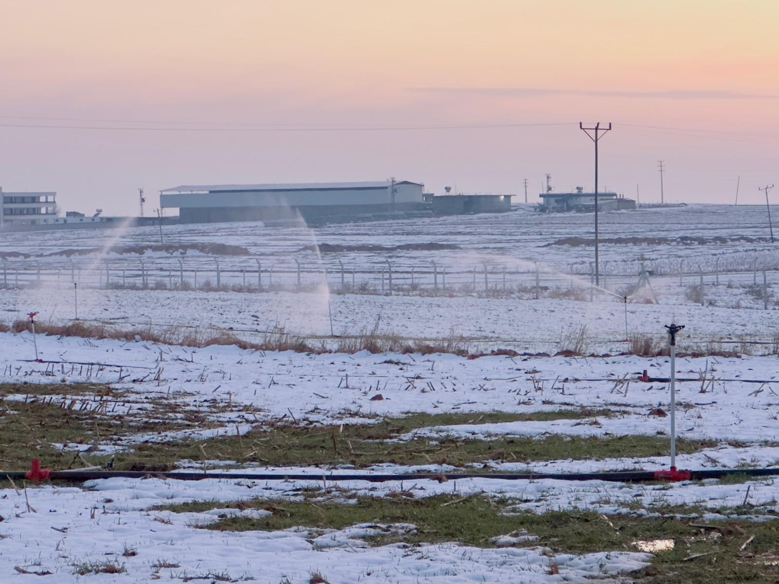 Karla Kaplı Tarlada Kaçak Elektrikle Sulama Yapıldığı Ortaya Çıktı