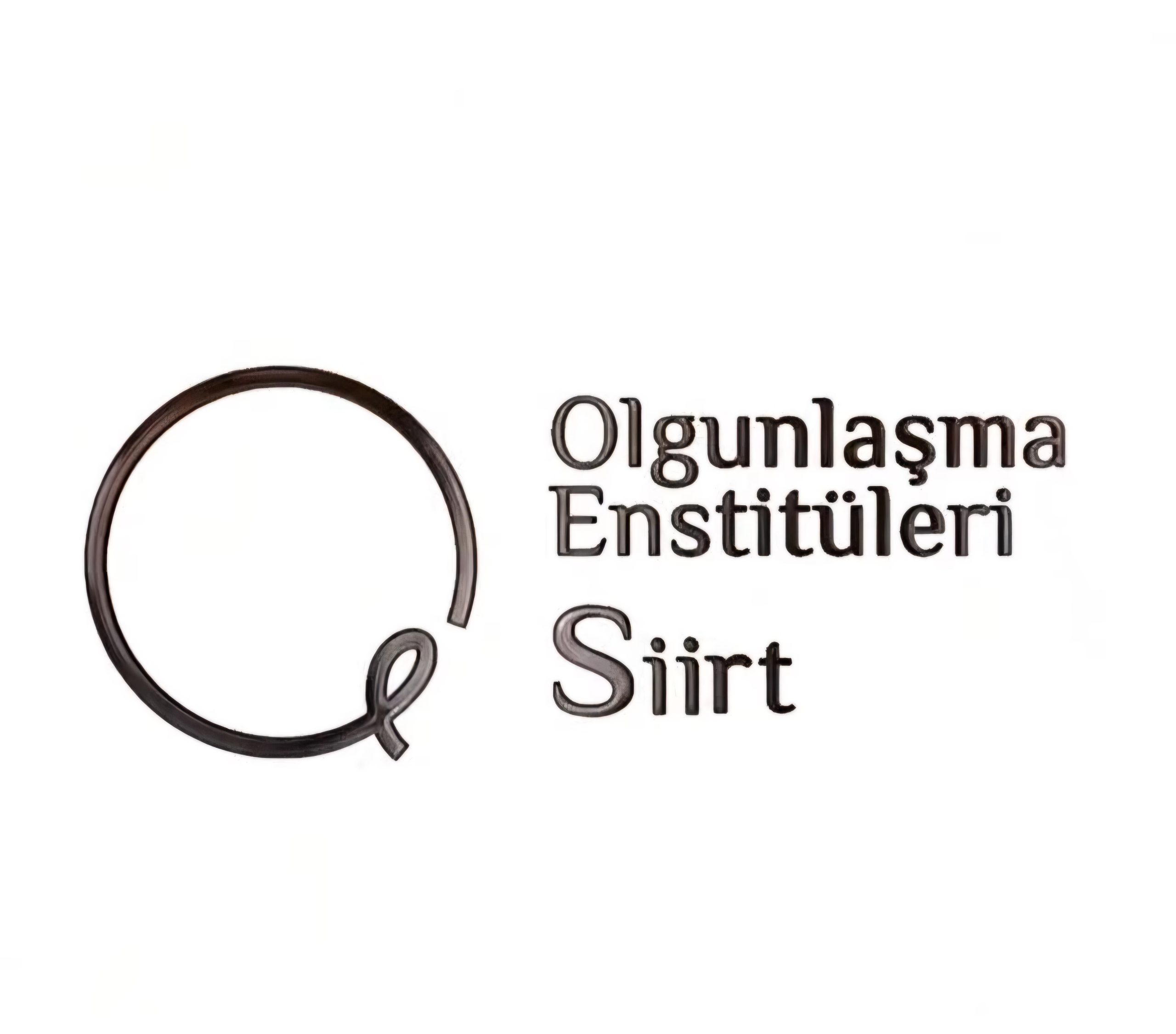 Siirt Olgunlaşma Enstitüsü’nde “Kırk Yama” Sanata Dönüşüyor