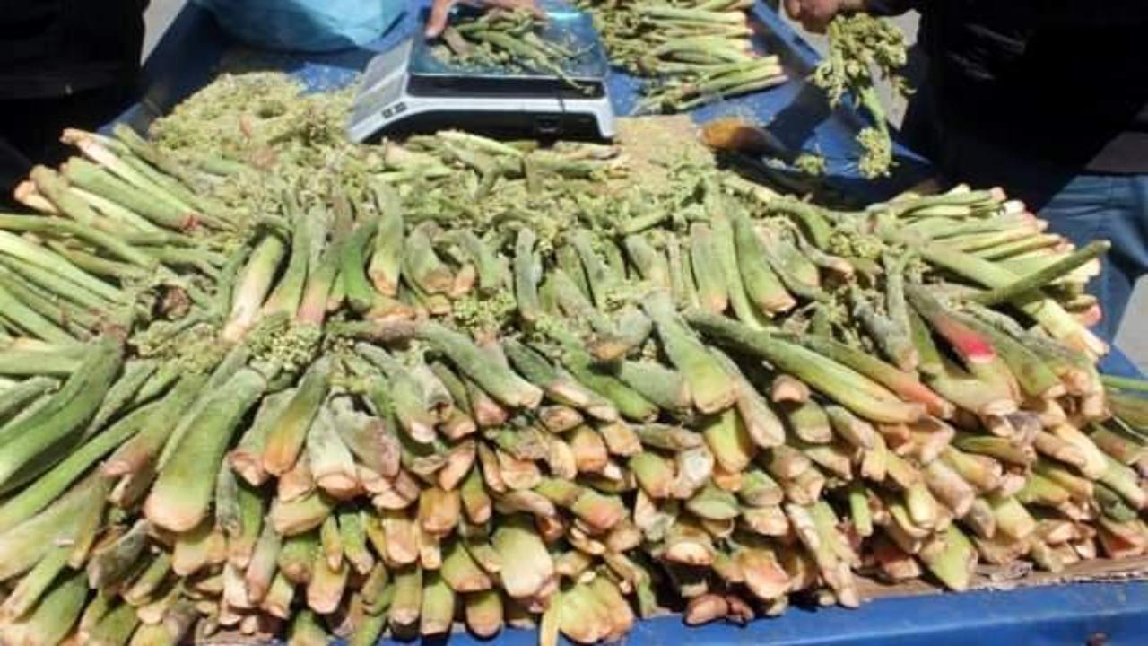 Doğunun Muzu “Işkın” Tezgâhlarda Yerini Aldı