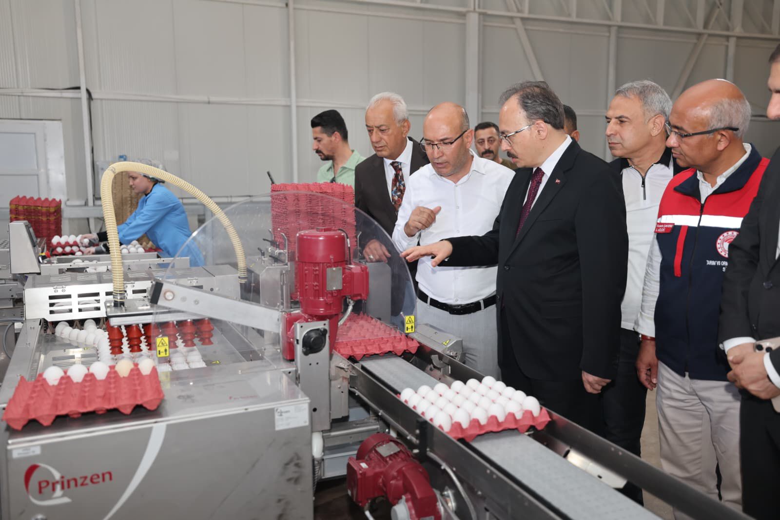 Vali Kızılkaya Kurtalan’daki Yumurta Tesisi ve Seralarda İncelemelerde Bulundu