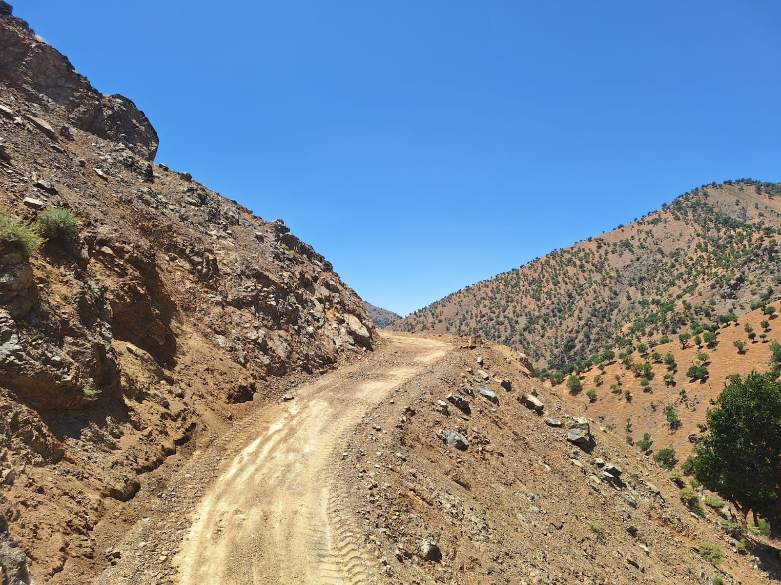 Bağ ve Bahçe Yollarında Bakım Çalışmaları Sürüyor