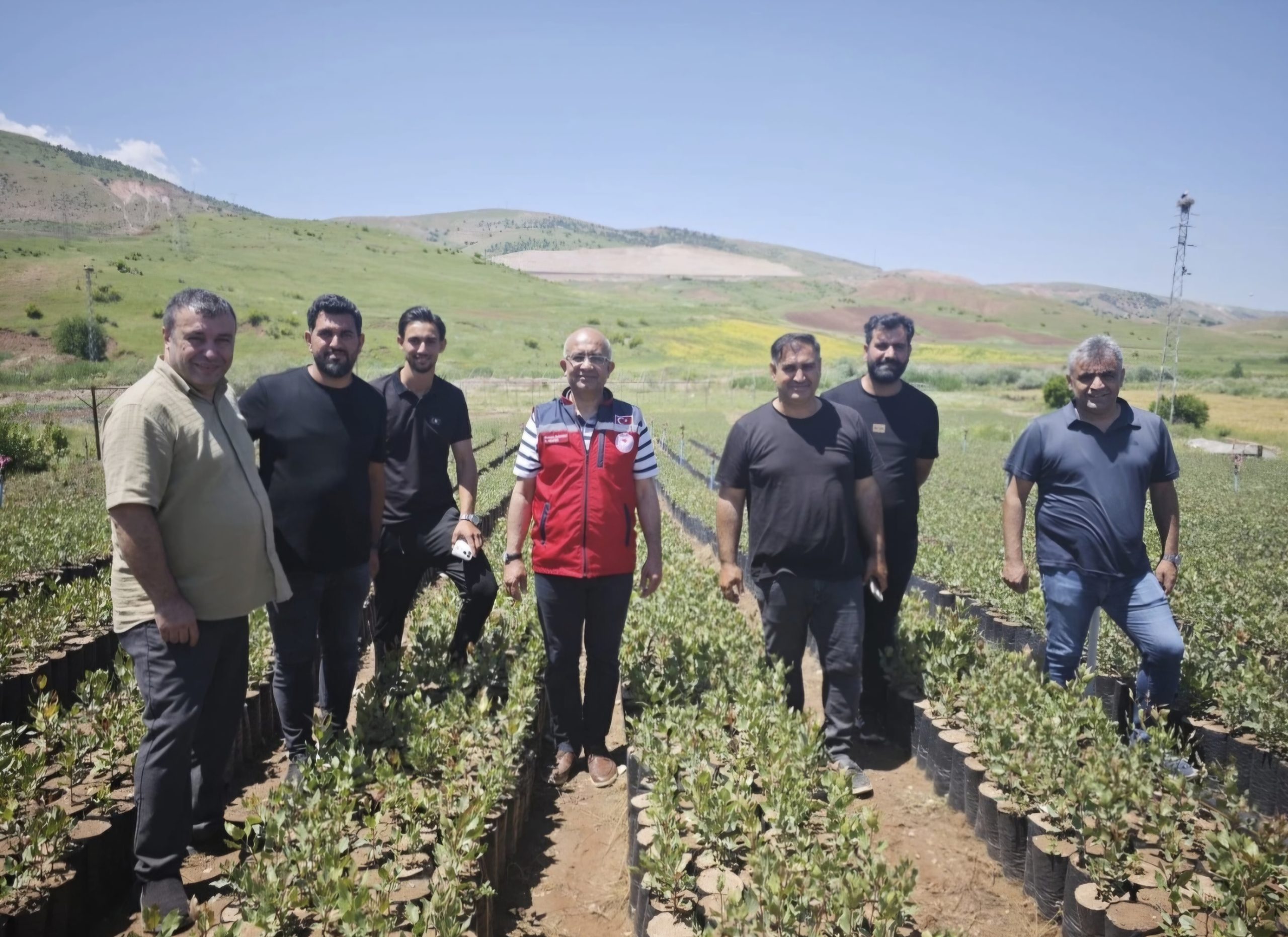 Siirt’te Fıstık Fidanı Üretimine Yakın Takip