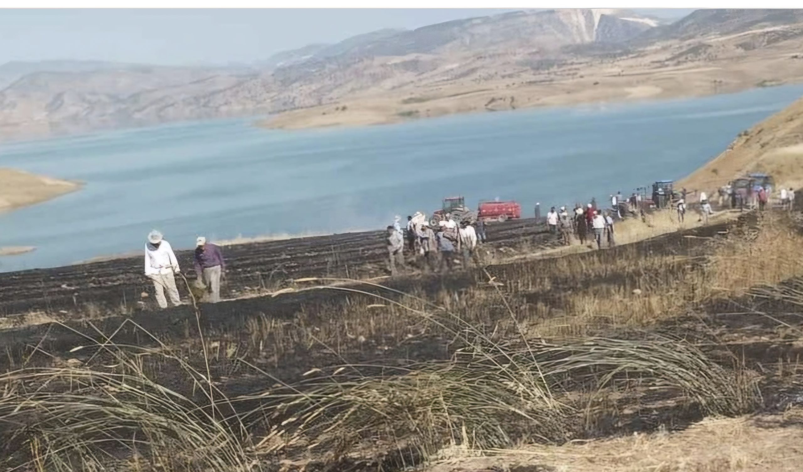 Siirt’te Buğday Tarlasında Çıkan Yangın Büyümeden Söndürüldü