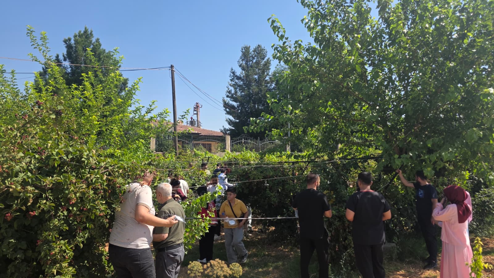 Engelsiz Yaşam Merkezi’nde Böğürtlen Hasadı Şenliğe Dönüştü