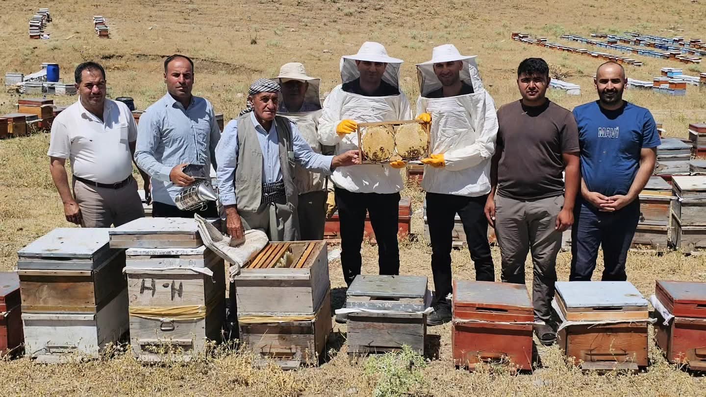 Pervari Kaymakamı Ali Buzkaya, Çema Yaylası’nda Arıcılarla Buluştu